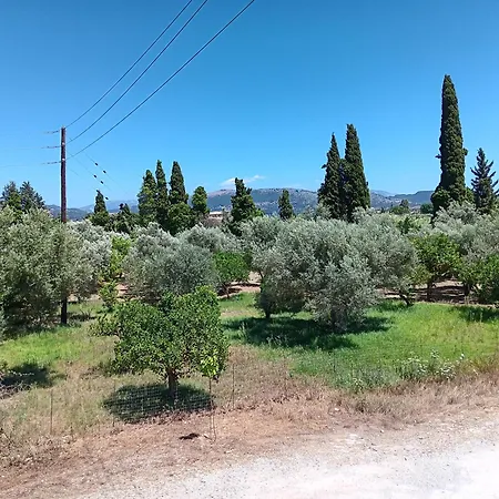Apartman Anima Kalligoni